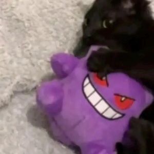 Meet your Posher, Evan